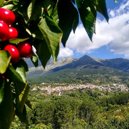 Albareilla By #Cherrygredos El Arenal  Zewnętrze zdjęcie