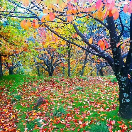 Albareilla By #Cherrygredos El Arenal  Zewnętrze zdjęcie