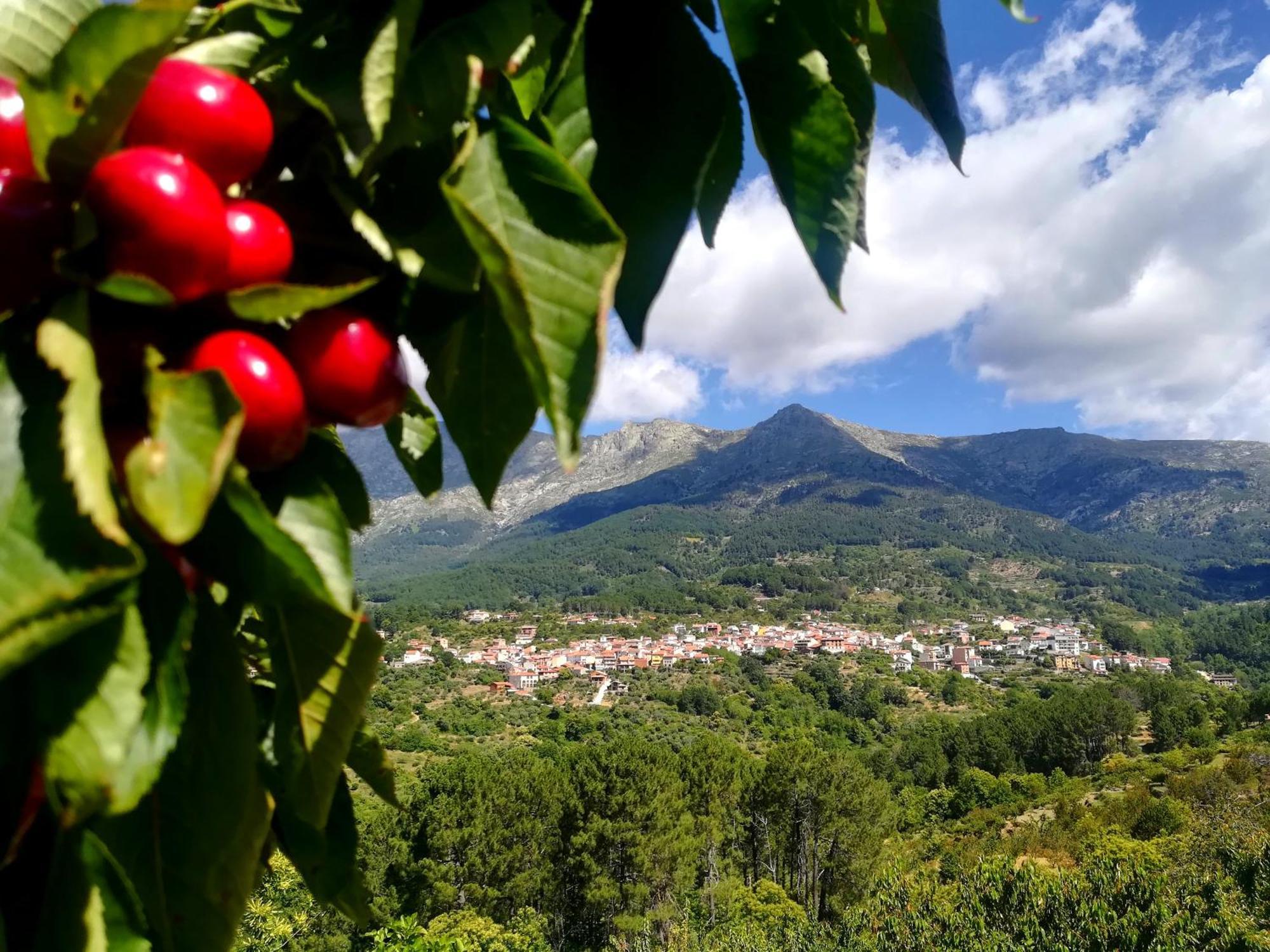 Albareilla By #Cherrygredos El Arenal  Zewnętrze zdjęcie