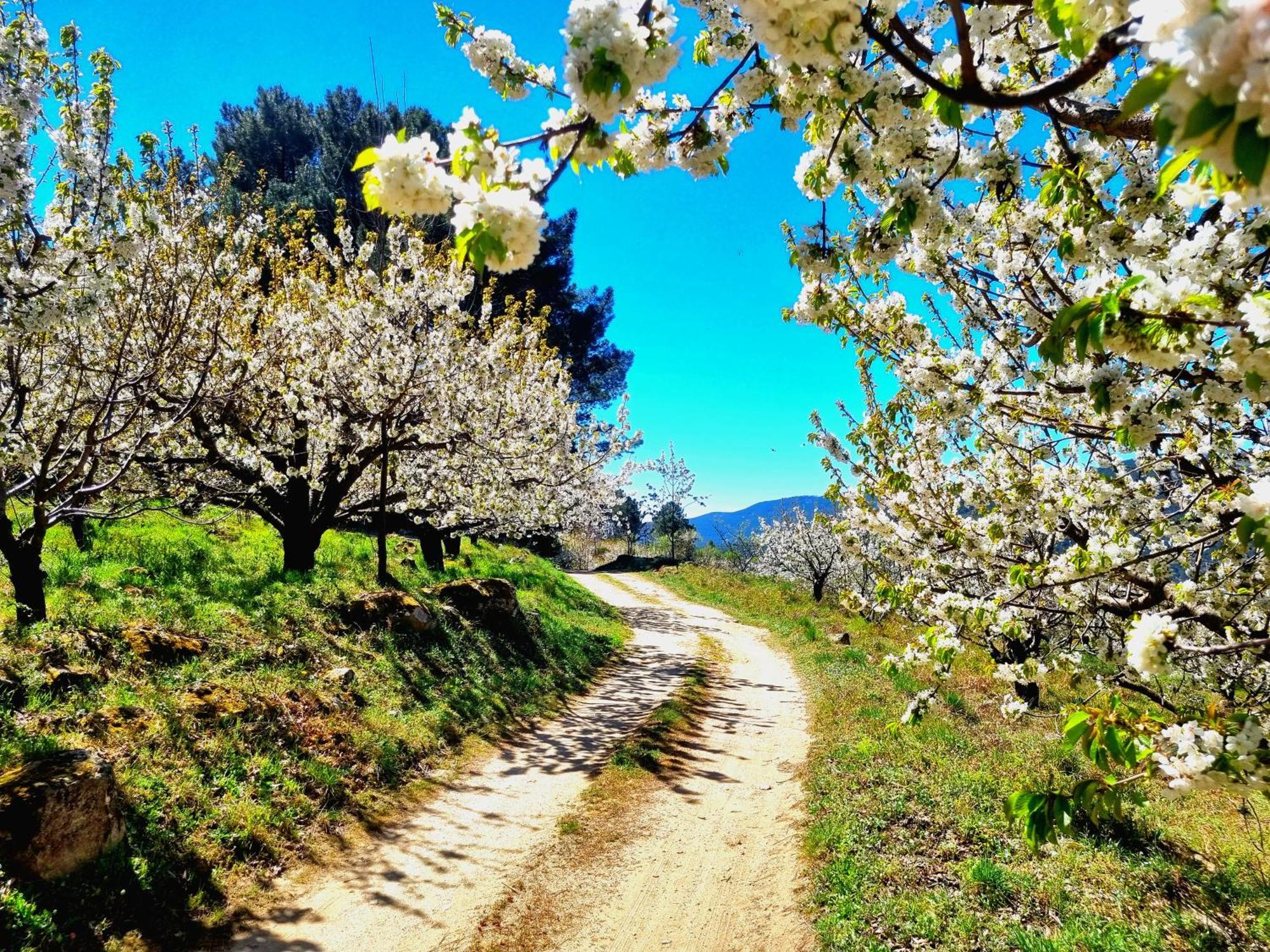 Albareilla By #Cherrygredos El Arenal  Zewnętrze zdjęcie