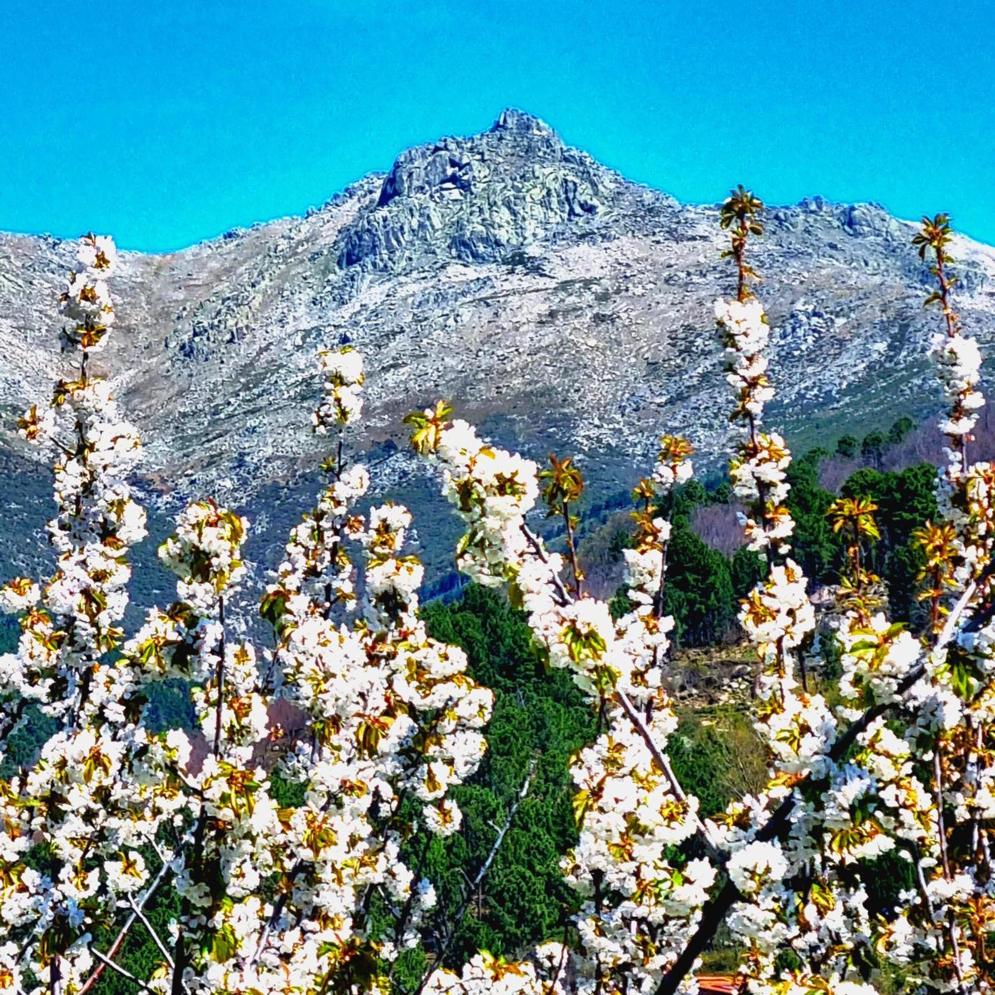 Albareilla By #Cherrygredos El Arenal  Zewnętrze zdjęcie