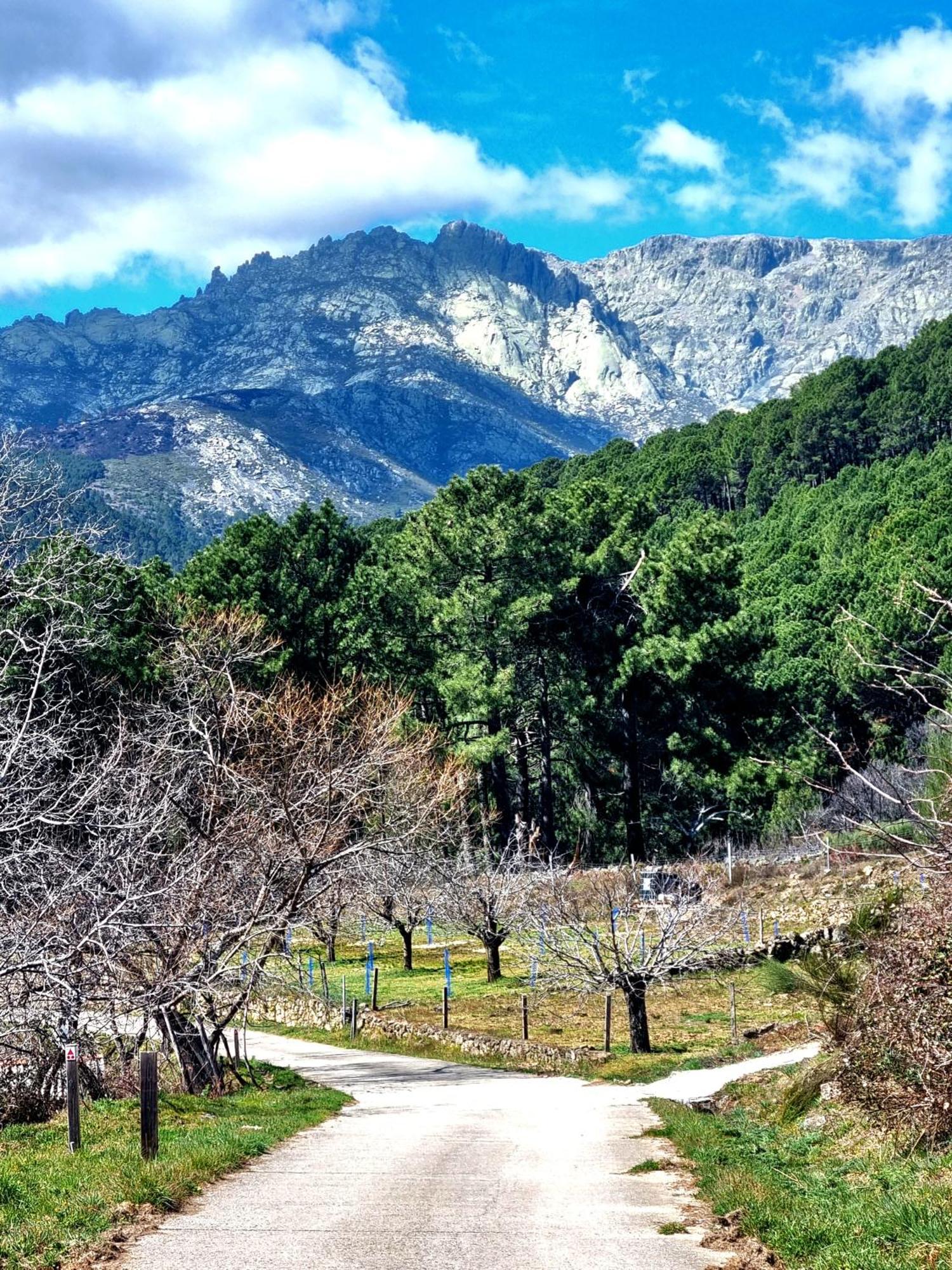 Albareilla By #Cherrygredos El Arenal  Zewnętrze zdjęcie