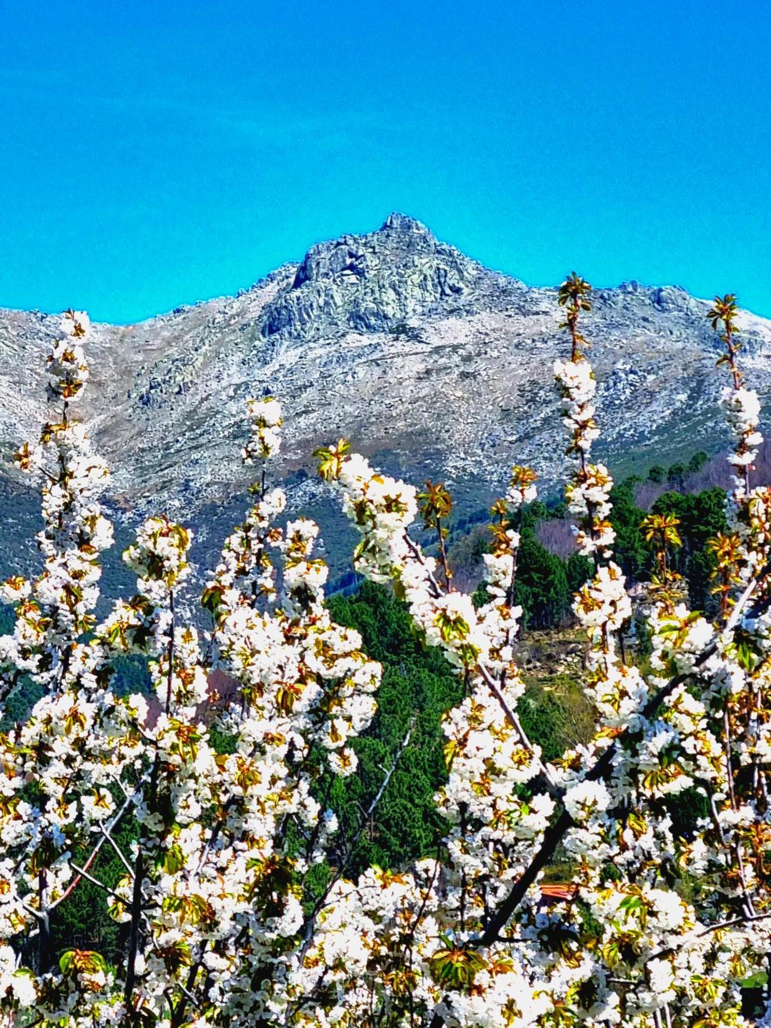 Albareilla By #Cherrygredos El Arenal  Zewnętrze zdjęcie