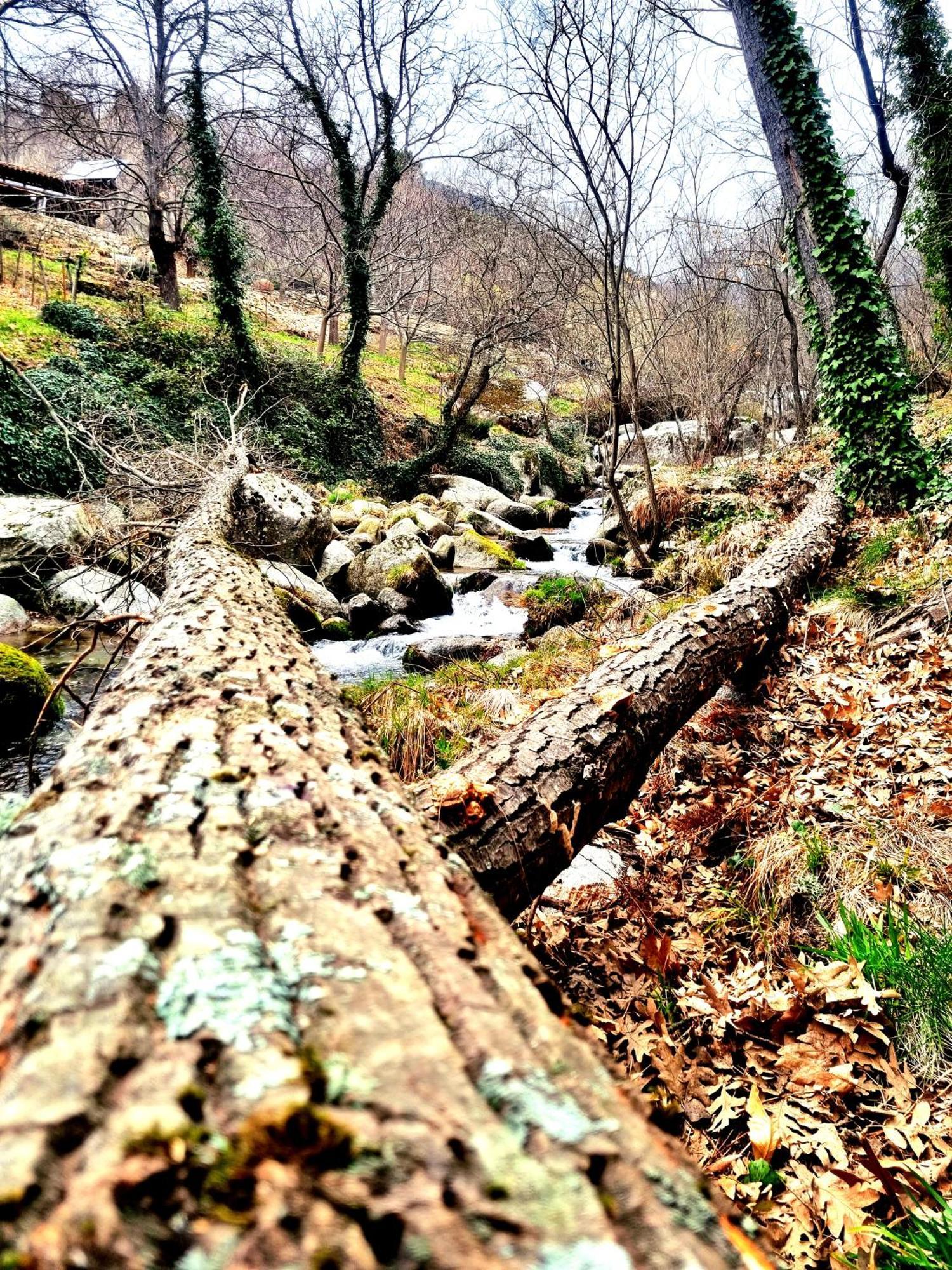 Albareilla By #Cherrygredos El Arenal  Zewnętrze zdjęcie