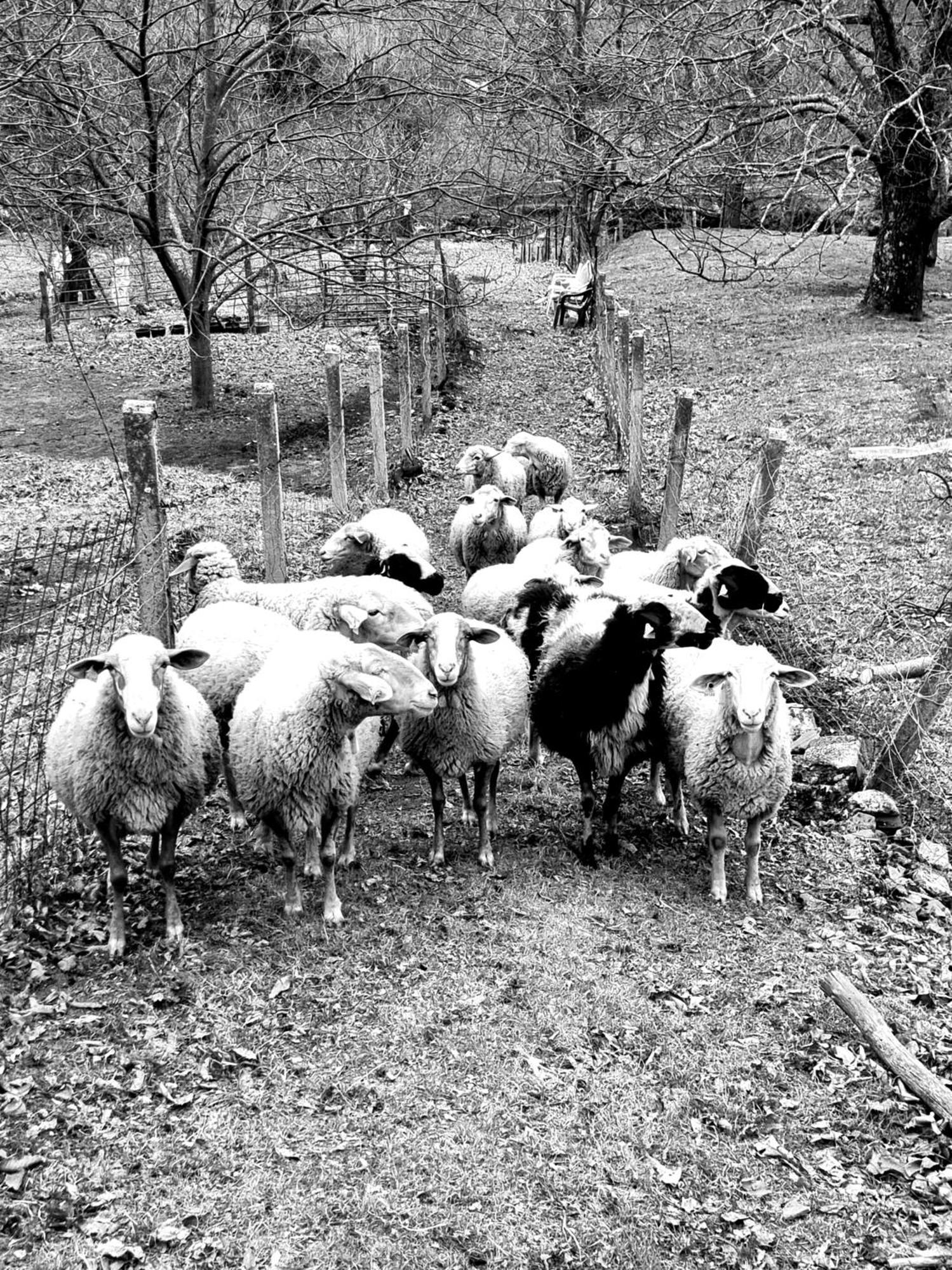 Albareilla By #Cherrygredos El Arenal  Zewnętrze zdjęcie